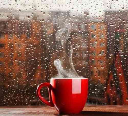  جای زوزه ی گرگا میشنوی زوزه ی ادم خیابون نی خونه ی خالت توی‌یه ثانیه